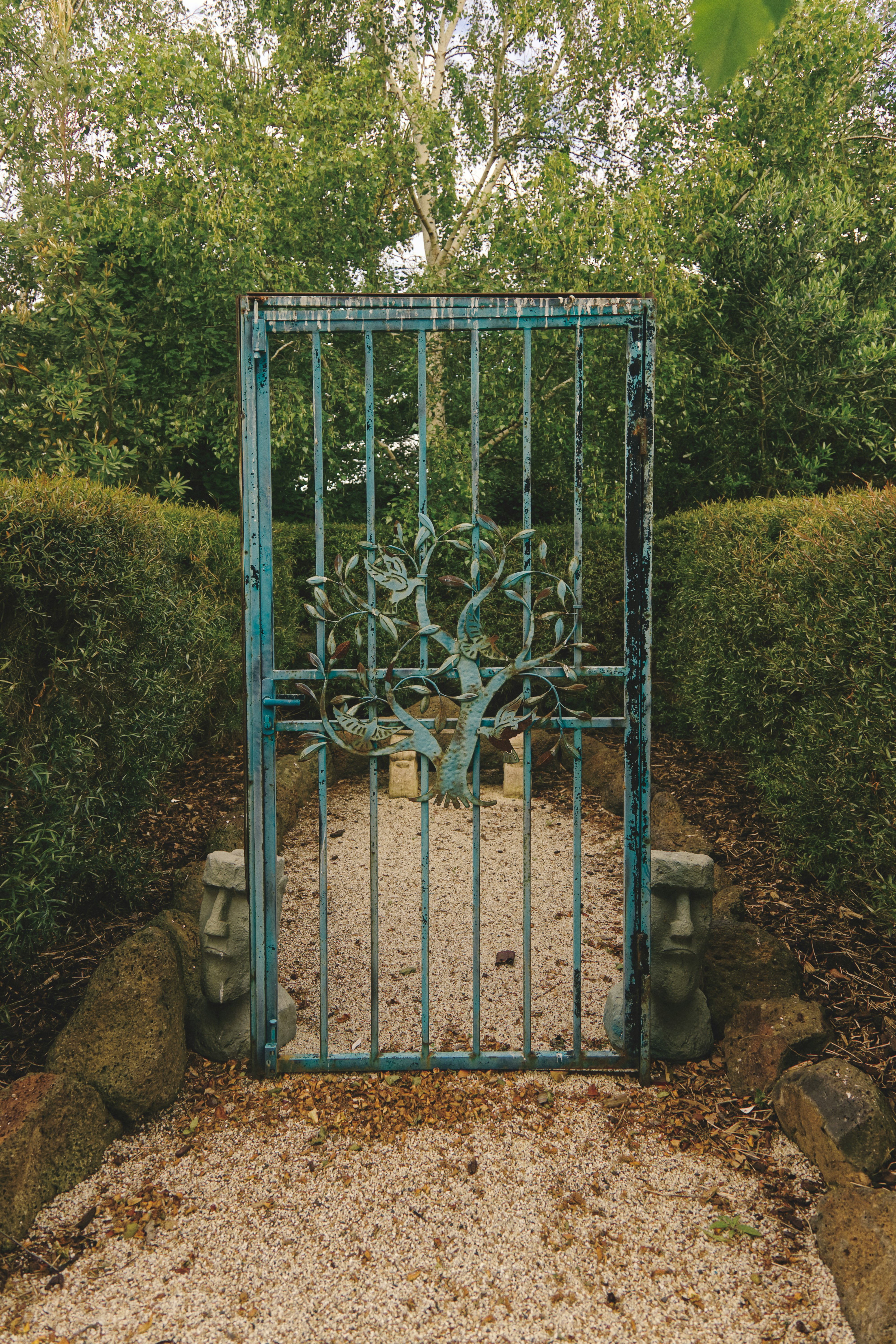 blue metal gate near green trees during daytime